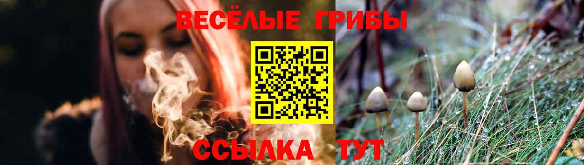 Семилуки  Псилоцибиновые грибы Cubensis  Вход с VPN  Галлюциногенные грибы ЛСД 